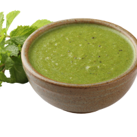 Mint & Coriander Chutney